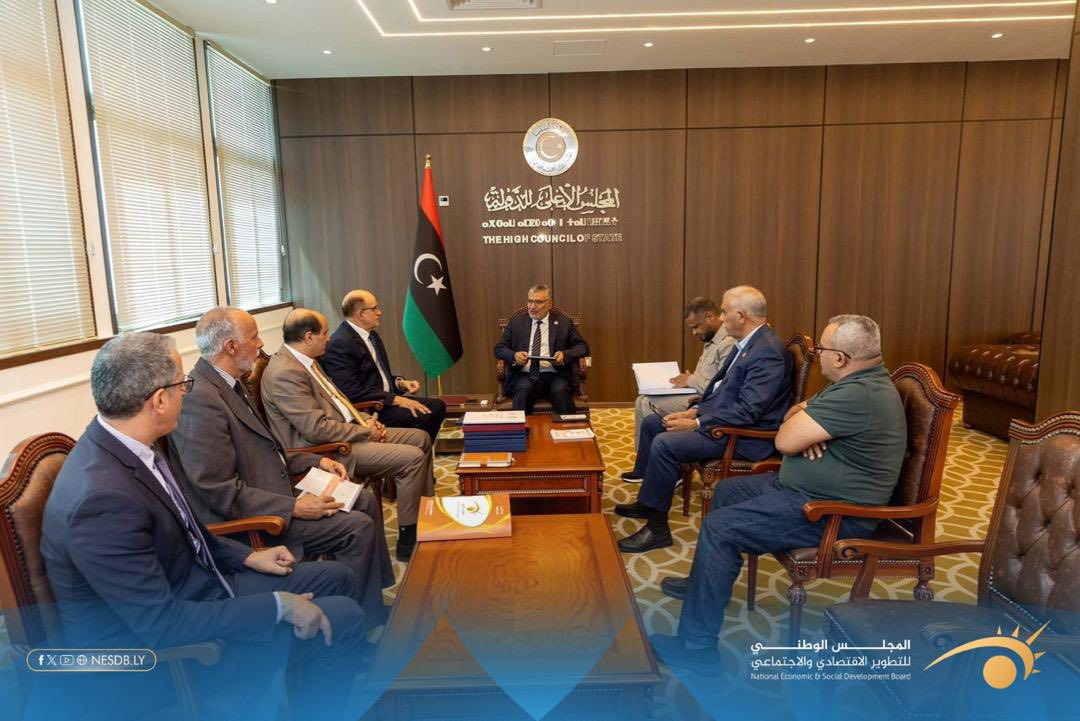 مدير عام مجلس يبحث مع رئيس المجلس الأعلى للدولة آليات تنفيذ مخرجات المشاريع